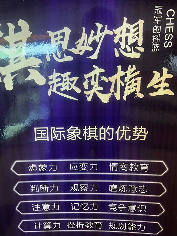 翰生学棋-(4).jpg